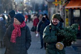 Christmas trees on sale in Kyiv