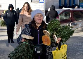 Christmas trees on sale in Kyiv