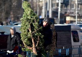 Christmas trees on sale in Kyiv