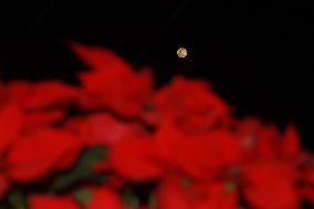 Cold Moon Is Seen Over Mexico