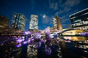 Night view of Umekita