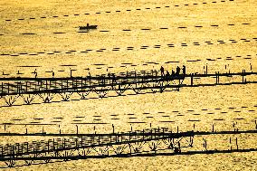 Hubei Bridge Construction - China