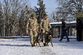 Kordon Race in Lviv