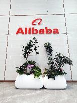 Alibaba High tech Business Park in Shanghai