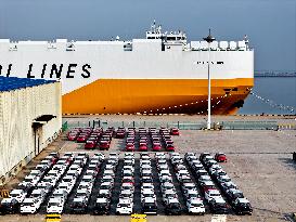 Lianyungang Port Export Vehicles