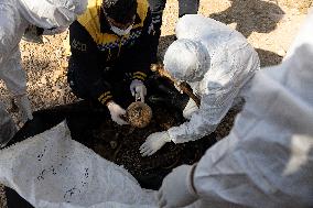 Mass Grave Found Near Damascus - Syria