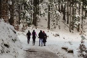 People Hiking Around The Bavarian Alpine Lake Eibsee In Winter