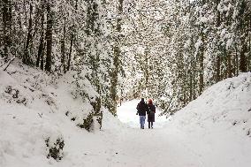 People Hiking Around The Bavarian Alpine Lake Eibsee In Winter