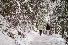 People Hiking Around The Bavarian Alpine Lake Eibsee In Winter