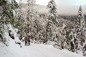 People Hiking Around The Bavarian Alpine Lake Eibsee In Winter