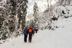 People Hiking Around The Bavarian Alpine Lake Eibsee In Winter