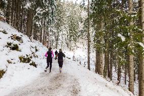 People Hiking Around The Bavarian Alpine Lake Eibsee In Winter