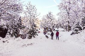 People Hiking Around The Bavarian Alpine Lake Eibsee In Winter