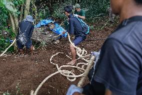 Bali Zoo's Sumatran Elephant Found Dead After Being Swept Away By River