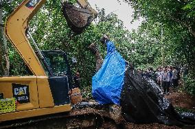 Bali Zoo's Sumatran Elephant Found Dead After Being Swept Away By River