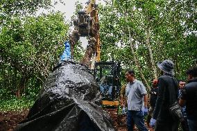 Bali Zoo's Sumatran Elephant Found Dead After Being Swept Away By River