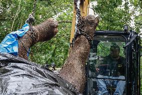 Bali Zoo's Sumatran Elephant Found Dead After Being Swept Away By River