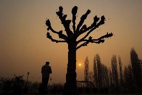 Winters In Kashmir