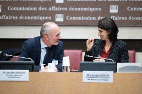 Lactalis Chief Executive Officer hearing at the National Assembly - Paris