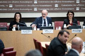 Lactalis Chief Executive Officer hearing at the National Assembly - Paris