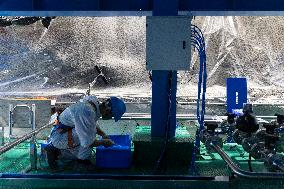 Liquid Filling At Neutrino Observatory - China