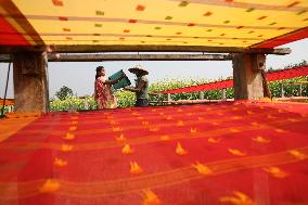 Story Of Weavers Outskirts Of Kolkata