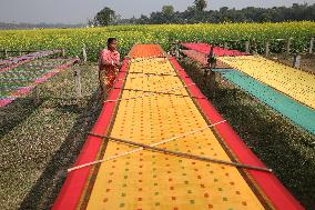 Story Of Weavers Outskirts Of Kolkata