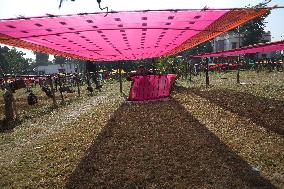 Story Of Weavers Outskirts Of Kolkata