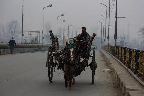 Daily Life In Kashmir