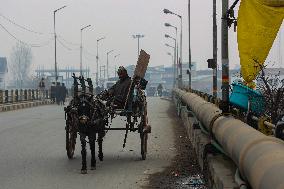 Daily Life In Kashmir