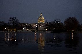 Seagulls In Capitol Reflecting Pool