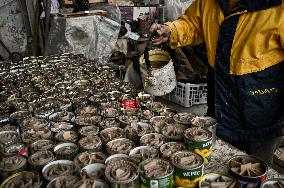 Volunteers make trench candles for soldiers in Zaporizhzhia