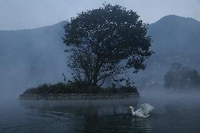 Daily Life In Taudaha Lake In Kirtipur.