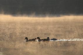 Daily Life In Taudaha Lake In Kirtipur.