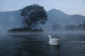 Daily Life In Taudaha Lake In Kirtipur.