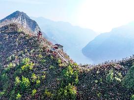 Wuxia Gorge Scenery - China