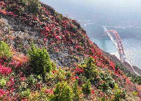 Wuxia Gorge Scenery - China