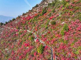 Wuxia Gorge Scenery - China