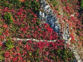 Wuxia Gorge Scenery - China