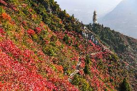 Wuxia Gorge Scenery - China