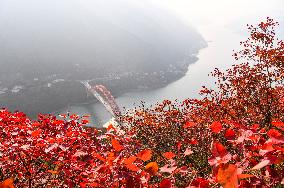 Wuxia Gorge Scenery - China