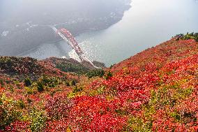 Wuxia Gorge Scenery - China