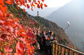 Wuxia Gorge Scenery - China