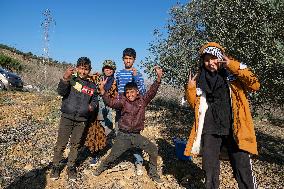 Syrian Refugee Children Picking Olives - Southern Lebanon