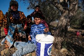 Syrian Refugee Children Picking Olives - Southern Lebanon