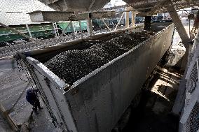 Agricultural enterprise in Chernihiv region