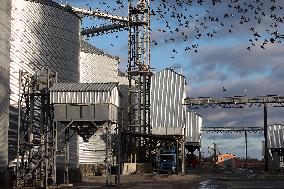 Agricultural enterprise in Chernihiv region