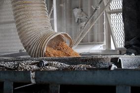 Agricultural enterprise in Chernihiv region