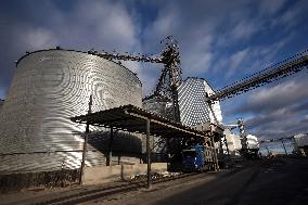 Agricultural enterprise in Chernihiv region