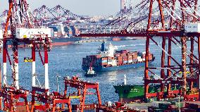 Shandong Port Container Throughput Record